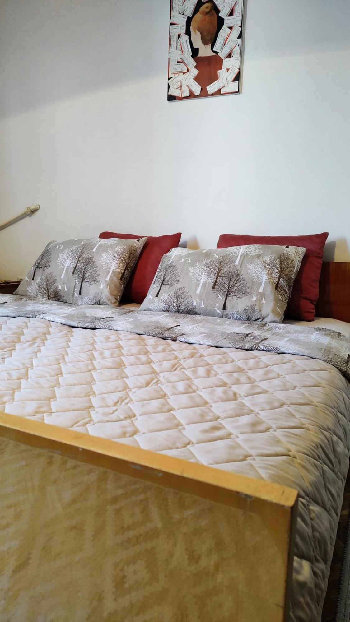 Digital Nomad Comfy Apartment,Foot Mountain Vodno And Millennium Cross,19 Min By Walk To Cener,Free Parking Escópia Exterior foto