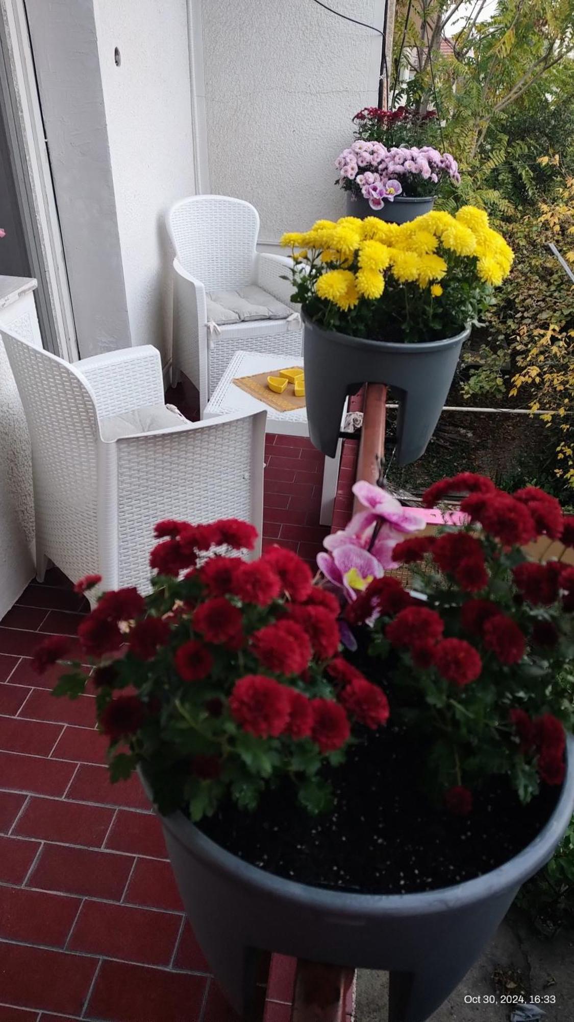 Digital Nomad Comfy Apartment,Foot Mountain Vodno And Millennium Cross,19 Min By Walk To Cener,Free Parking Escópia Exterior foto